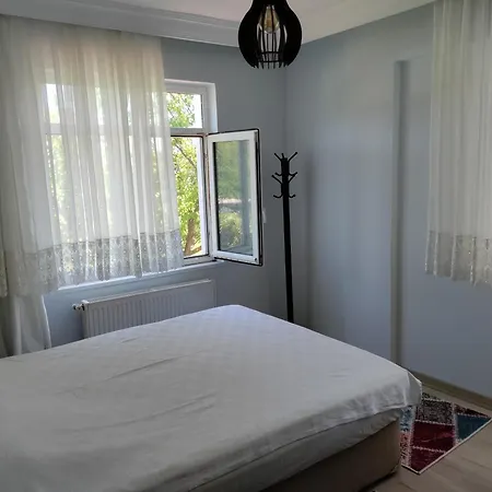 Villa Ferhat *