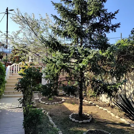 Ferhat * Ağva